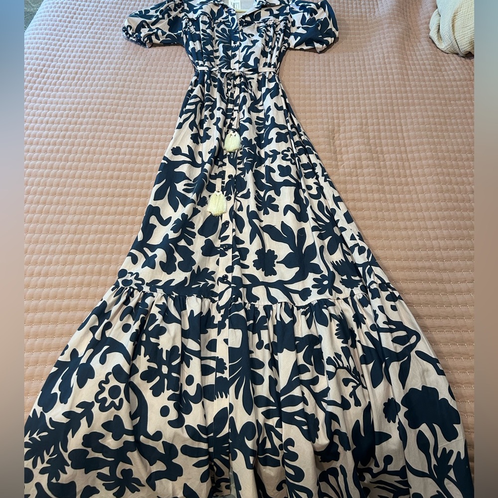 Andres Otalora Floral Navy and Cream Maxi Dress